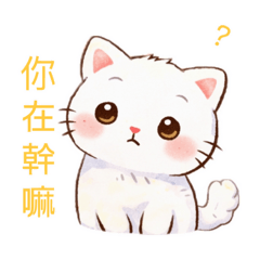 日常關心用語貓