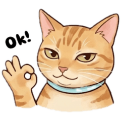 橘貓版日常生活