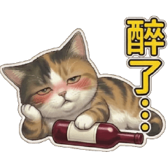 白爛貓球♥喝酒喵喵