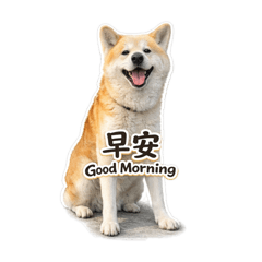 KarloHung_20260328192955