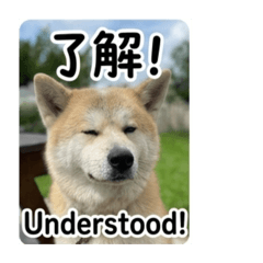 KarloHung_20260329004254