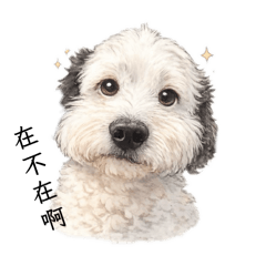 友誼的小吵小鬧