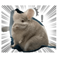 豆豆龍՞ . .՞①