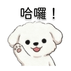 小白狗日常小劇場