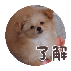 natsumi_20260329084253