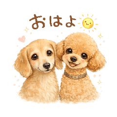 Nico Dogs_20260329085345