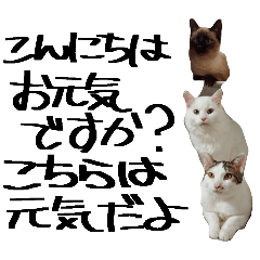 Ririnco_20260329090743