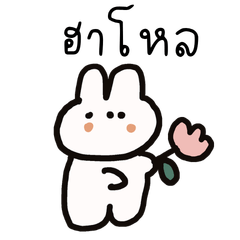 มาแล้วจ้า น้องกระต่ายน่ารัก คุยเก่ง