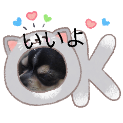 ichi ichi_20260329093142