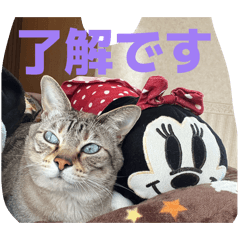 teamnatchan_20260329093755