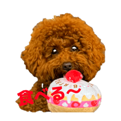 junjun_20260329093105