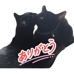 Nekomania_20260329094424