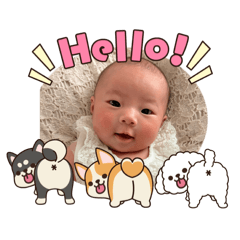 Yohei_20260329095843