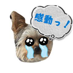 Yunyun_20260329100003