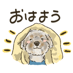 lovebeagle_20260329100455