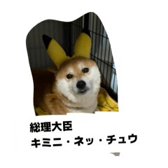 Vihanto_20260326125536