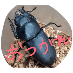 sayaka_20260329102402