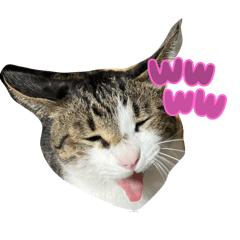 Sugar_20260329130148