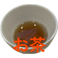 Shiba_20260329114301