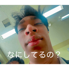 hatch_20260329110835