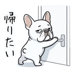 French Bulldog Lazy Life: New Beginnings