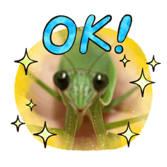 new keep_20260326165132