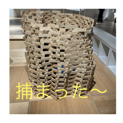 tanuki_20260329121312