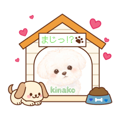 Ponzu_20260329145024