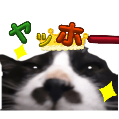 rentyan_20260329145641