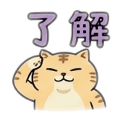 Nomadic Cat Designs_20260329145615