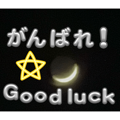 Taito_20260324164137