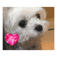 kimiko_20260329145128