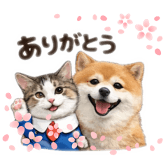 merumyu_20260329153811