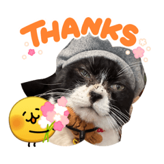 kinako_20260329154406