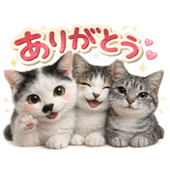 yuichi_20260329155151