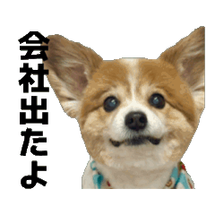 Masa_20260329221428
