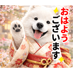 poyopoyo_20260325230659