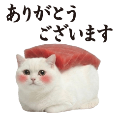 Sushi Cat (honorific language)