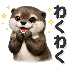 Otter for Everyday Use!