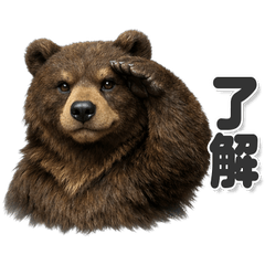 Bear Stickers for Everyday Use!