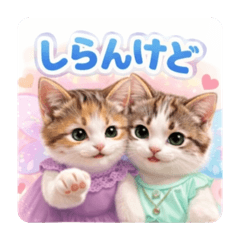 merumyu_20260329161248