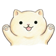 Fluffy Cat-Daily Life