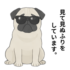 Resigned Pug Phrases