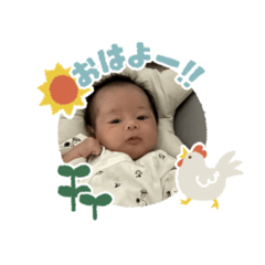 apples_20260329174850