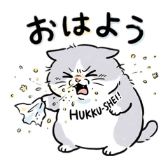 Nomadic Cat Designs_20260329174331