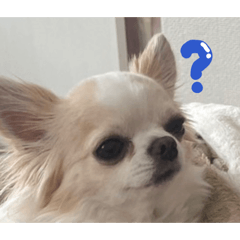 emapen_20260329174344