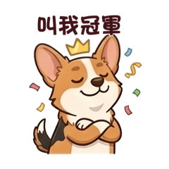 柯基小狗的日常1