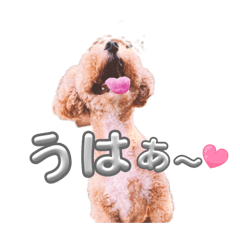 nikosan_20260329190953