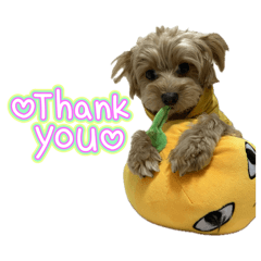 Ranmaru_20260329191328