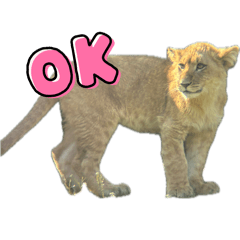 minamiasakura_20260329191500